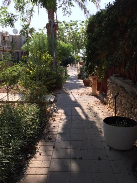 הבית של דרורי Neve Zohar Extérieur photo